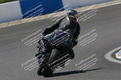 media/Jul-19-2025-TrackDaz (Sat) [[ff1509a44a]]/C Group/140pm (Turn 6)/
